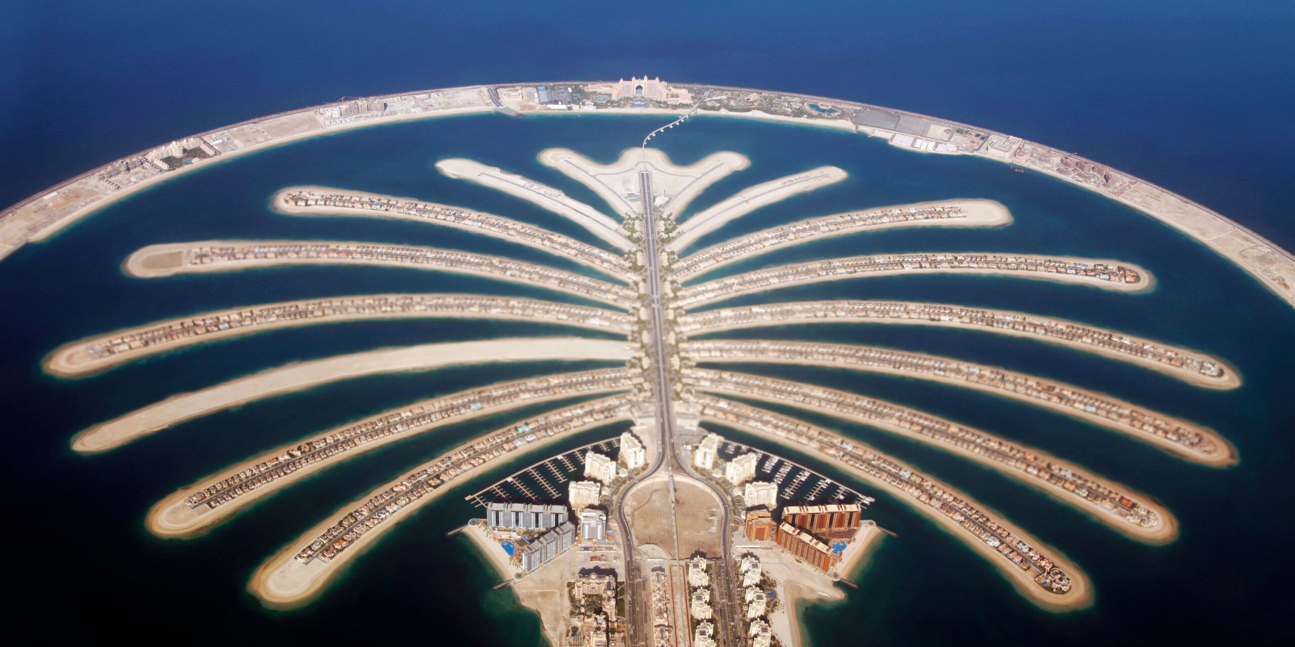 🇦🇪 Dubai Delight
